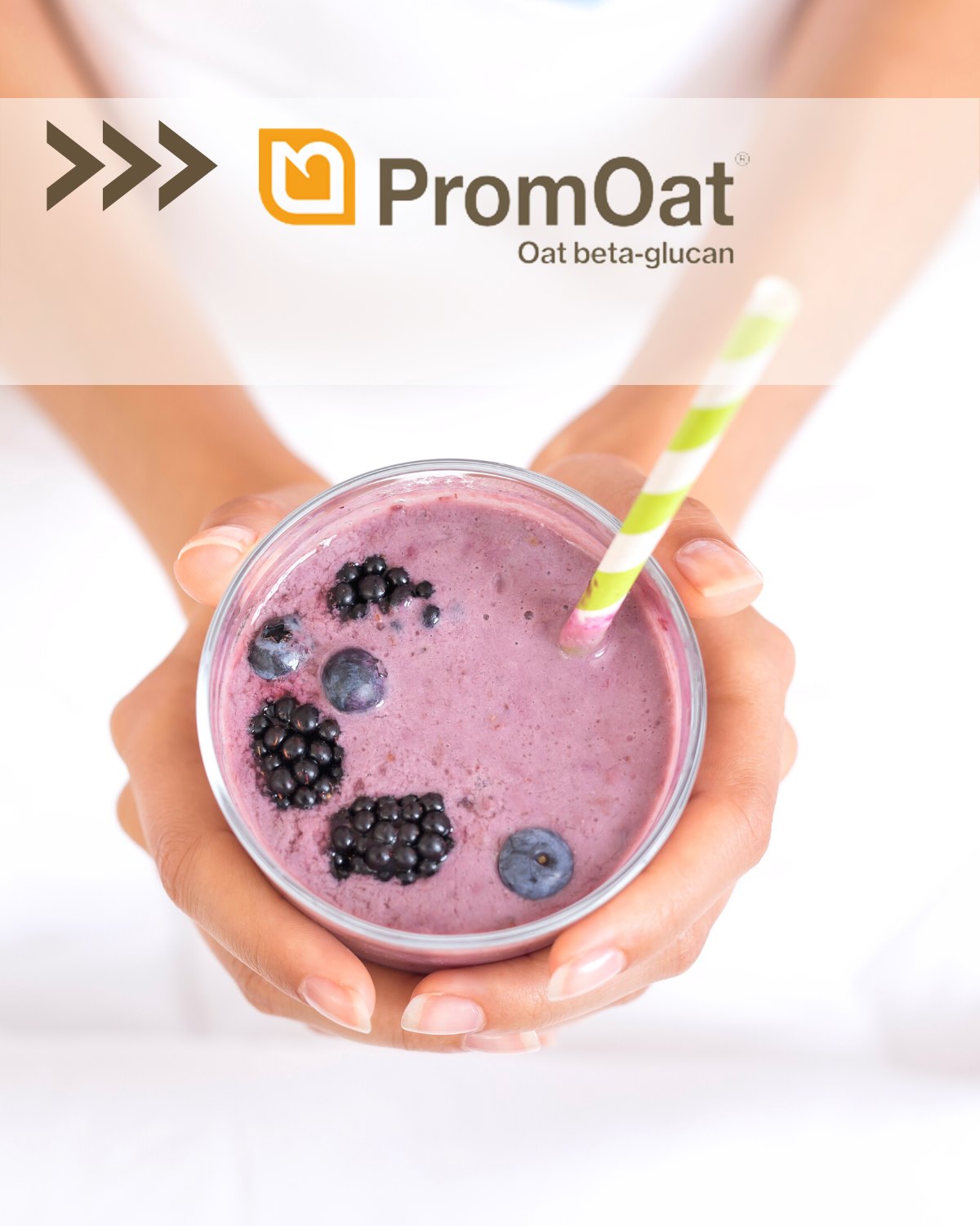 Promoat Plant-Based Milk Powders | merchant & supplier | naVitalo