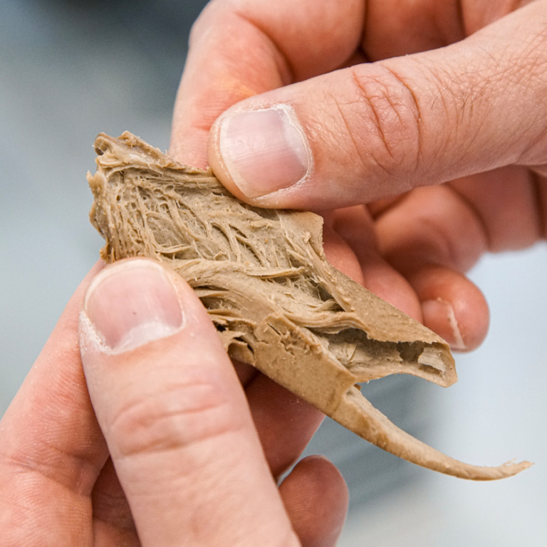 Tapioca: What is it and how can it be used? - naVitalo