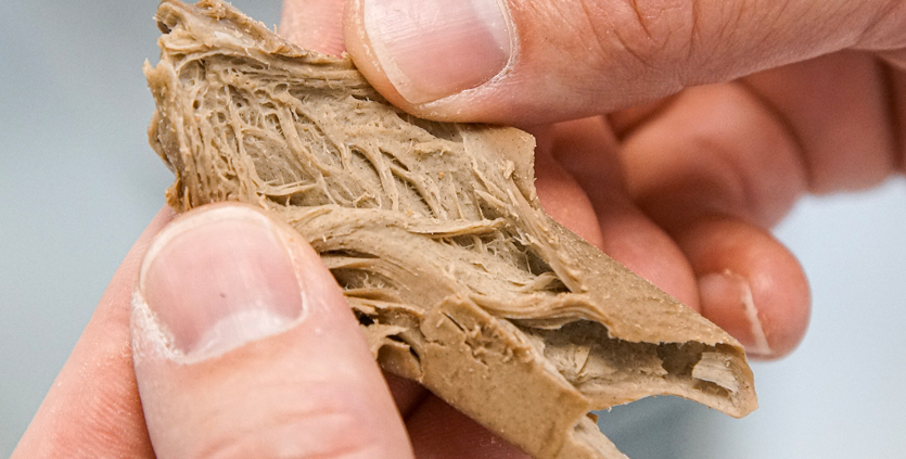 Oat Protein Texturates