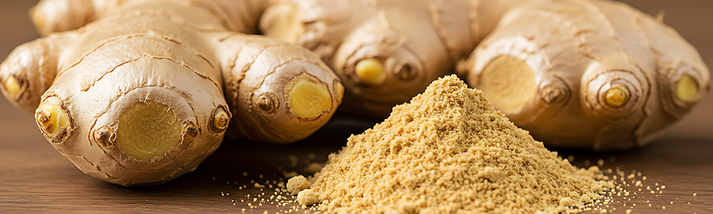 navitalo-header-ginger