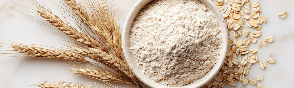 navitalo-header-oat-protein