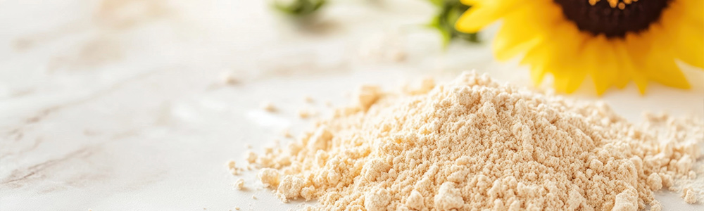 navitalo-header-sunflower-protein