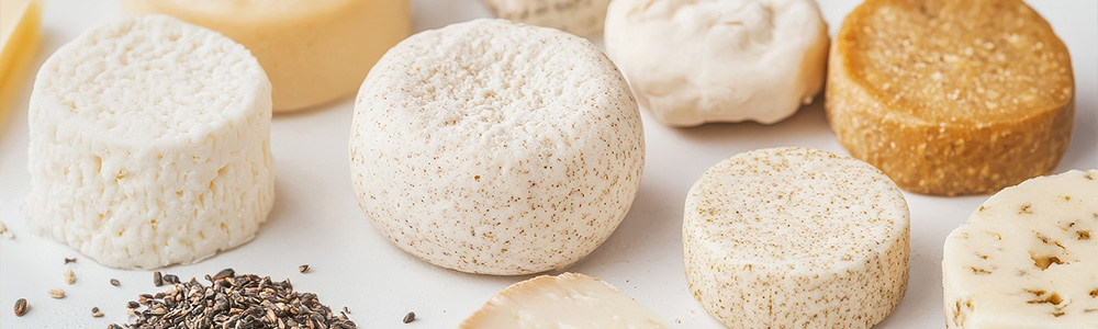 navitalo-header-application-cheese-vegan